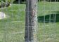 पौधों के लिए टिकाऊ 30 मीटर वेल्डेड तार बाड़ रोल समर्थन