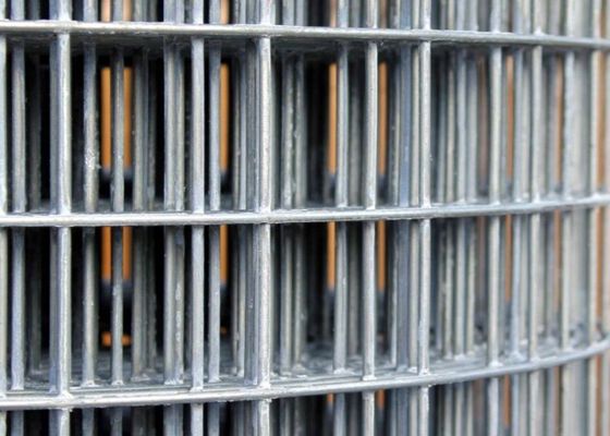 50X50 जस्ती वेल्डेड वायर मेष रोल 6 फुट वायर बाड़ रोल एब्रेशन प्रूफ