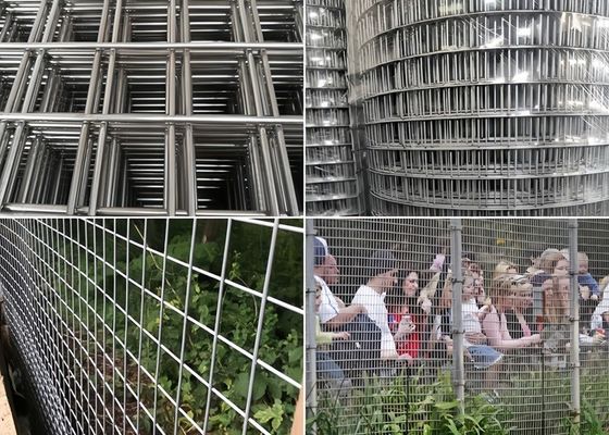 उच्च संक्षारण प्रतिरोधी वेल्डेड मेष रोल टिकाऊ विभिन्न रंग